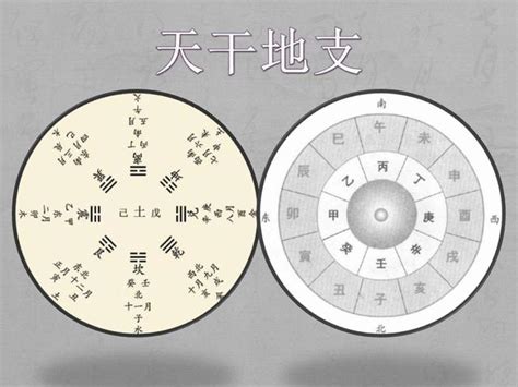 八字天干|【基礎教學】認識天干地支｜13點讓你快速了解天干地